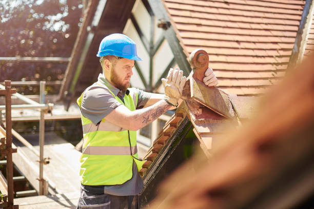 Roof Gutter Cleaning in Pevely, MO